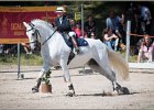 Pferd International 165